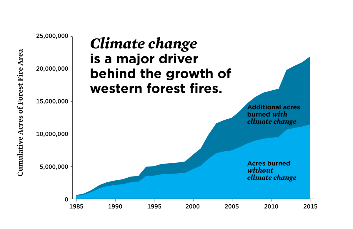 Climate change: What role is it playing in the California fires